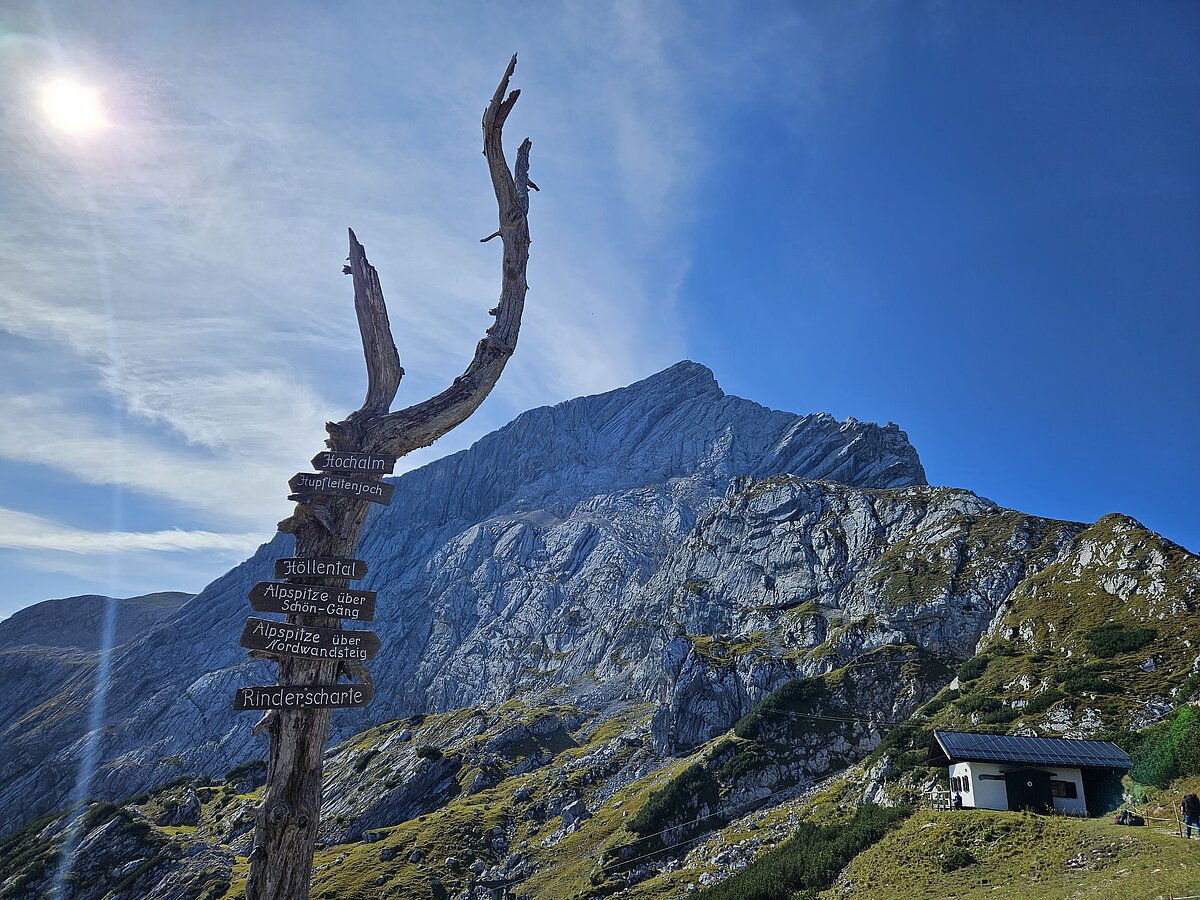 Vor der markanten, felsigen Alpsitze zeigt ein knorriger Ast mit urigen Holzschildern die Wanderwege an.
