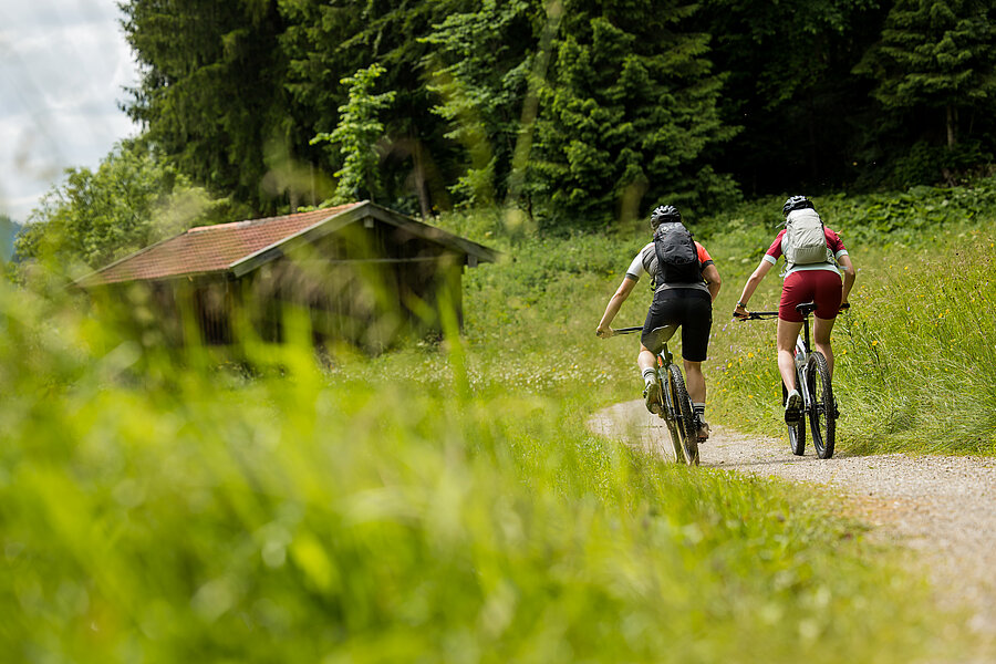 Zwei Radler fahren auf einem Schotterweg durch die grünen Blühwiesen.