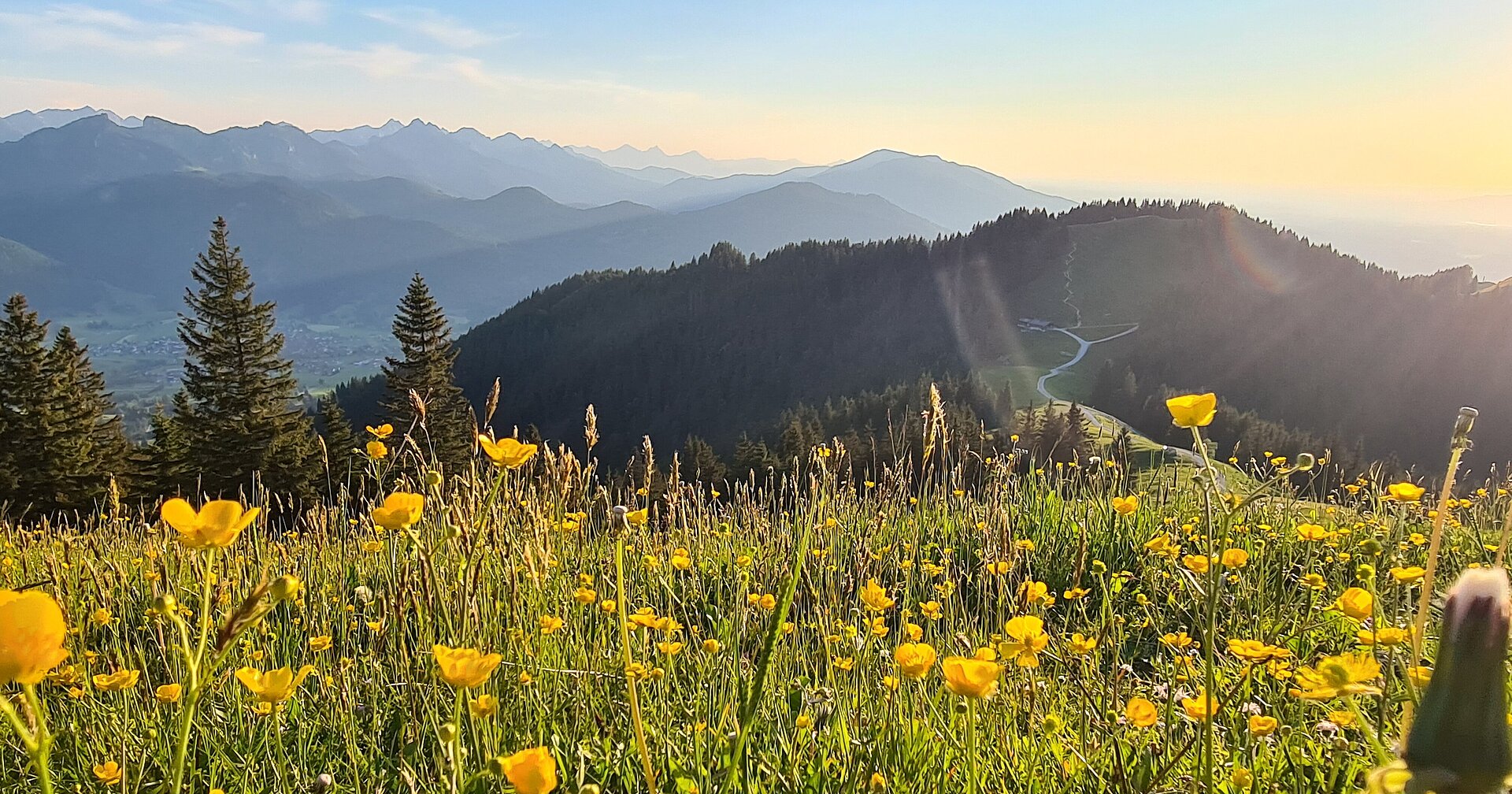 Der Sonnenuntergang taucht den Zeitberg Hörnle in ein wunderbares sanftes Licht