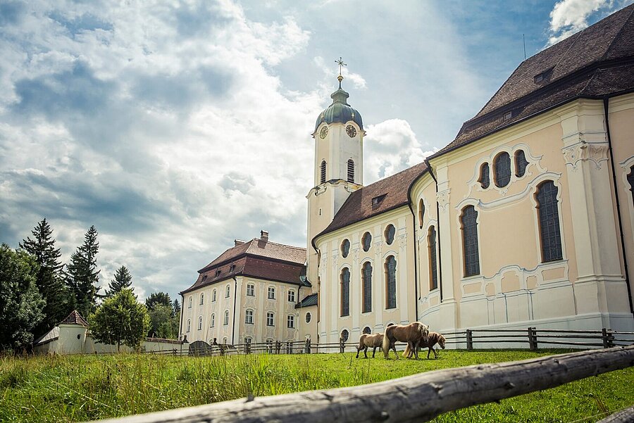 Vor der Wieskirche grasen friedlich Pferde auf der angeschlossenen Wiese.