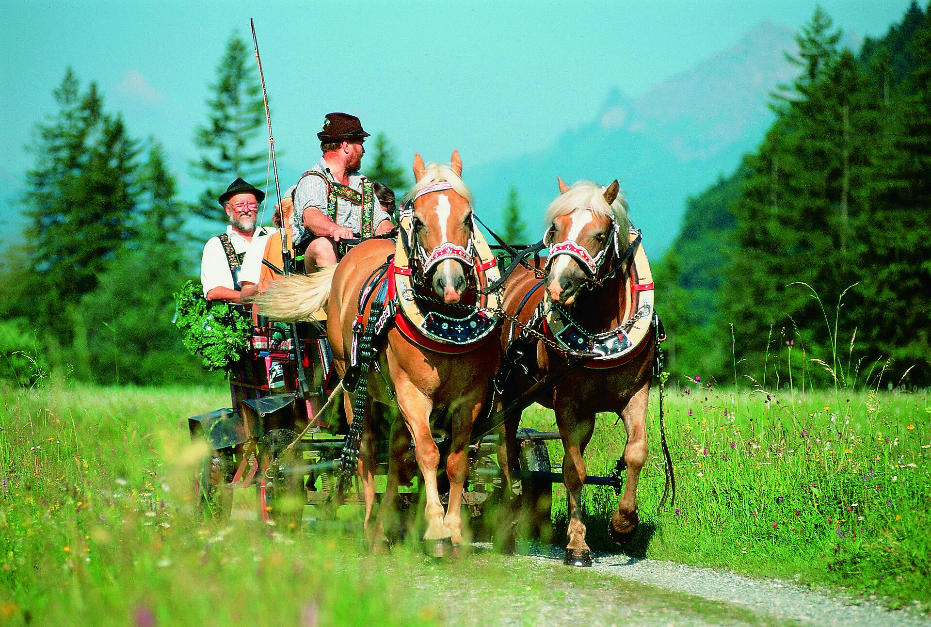 Lustige Pferdekutschfahrt durchs Ammertal