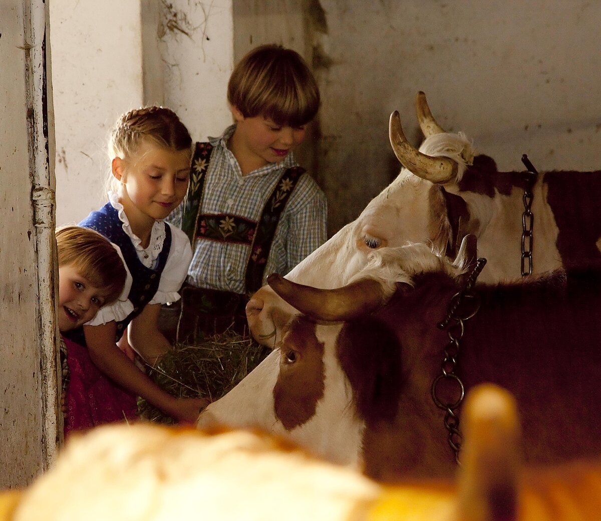 Kinder in Tracht streicheln Kühe im Stall.