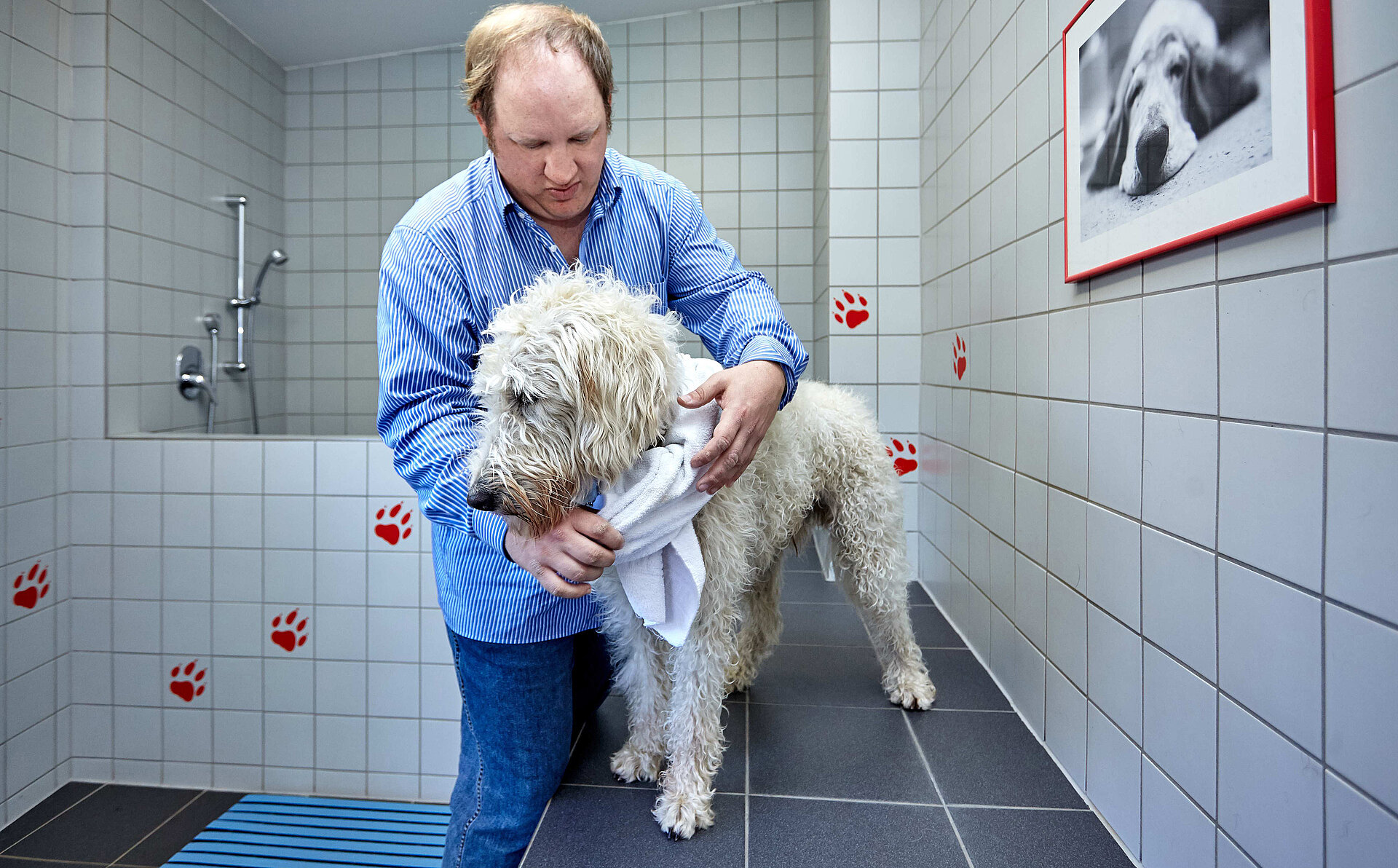 Komfortable Pflegemöglichkeit der Hunde in unserer separaten Hundedusche. 