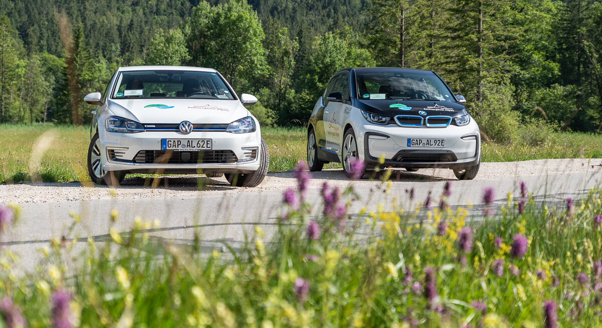 Zwei E-Autos parken im grünen Naturpark.