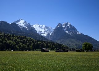 Wiese mit Blumen und die Berge des Wettersteingebirges
