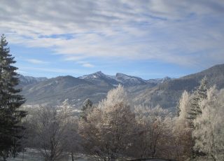 Blick auf vereiste Bäume und schneebedeckte Berge im Hintergrund.