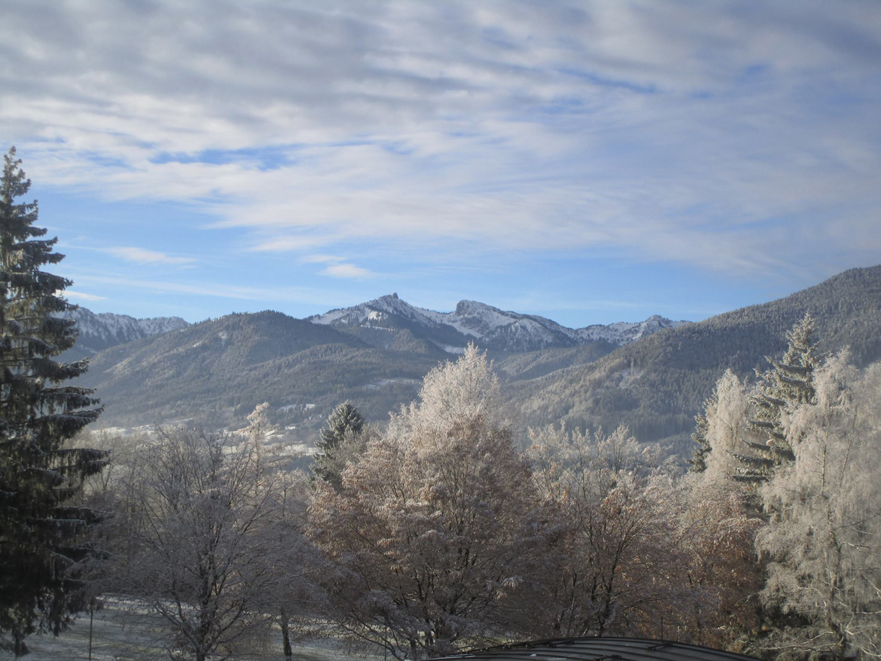 Blick auf vereiste Bäume und schneebedeckte Berge im Hintergrund.