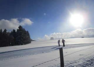 Zwei Langläufer/innen genießen die Fahrt durch die Winterlandschaft