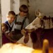 Drei Kinder streicheln Kühe im Stall