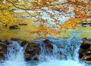 Ein rauschender Flusslauf mit herbstlich gefärbten Blättern