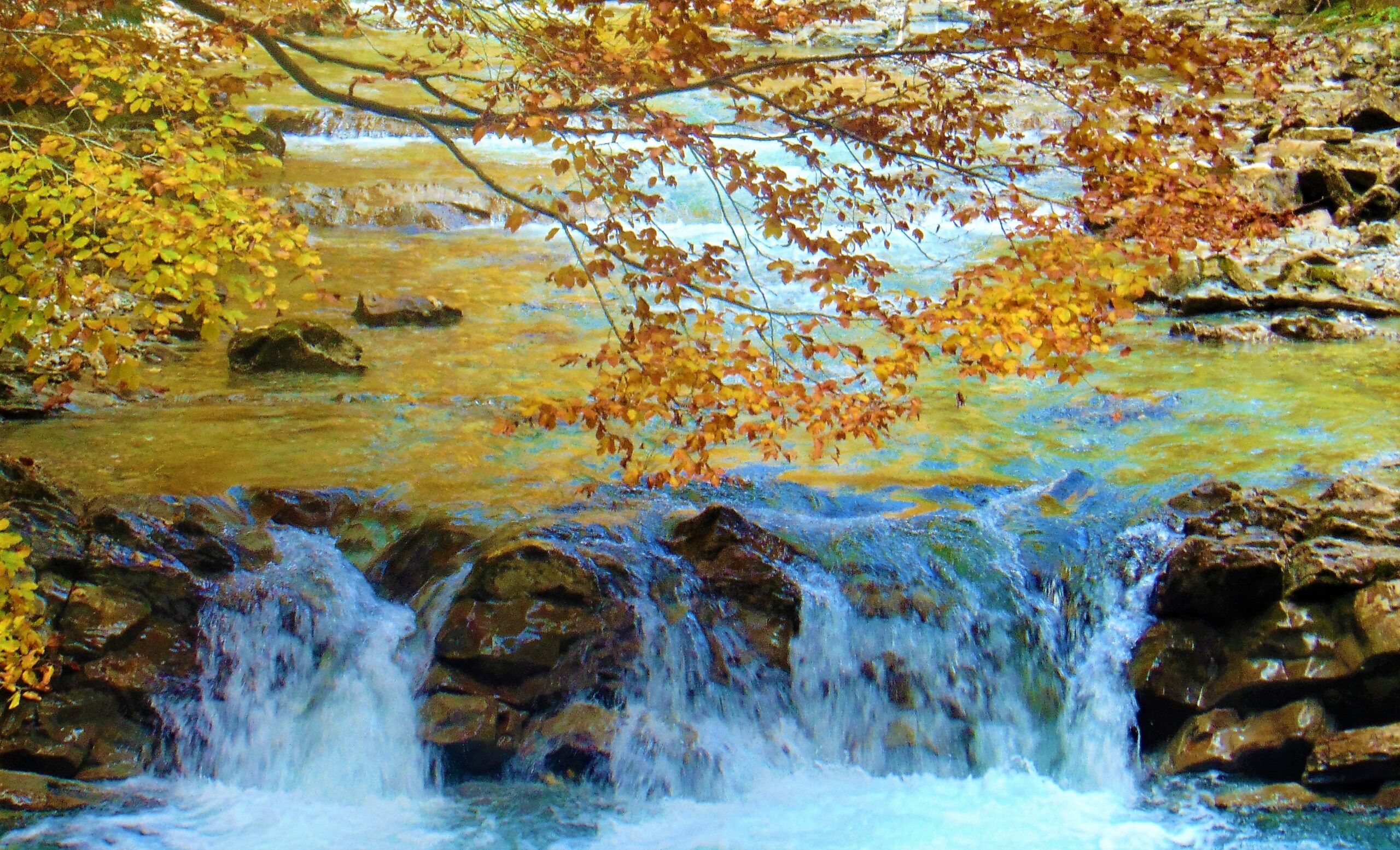 Ein rauschender Flusslauf mit herbstlich gefärbten Blättern