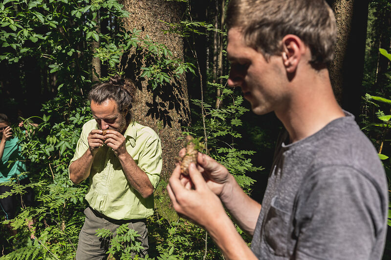 Zwei Männer schnuppern im Wald an der frischen Baumrinde