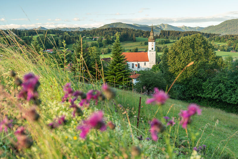 Idyllischer Blick auf eine Kirche im Grünen