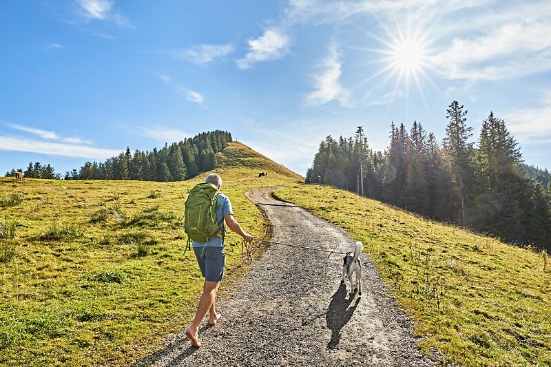 Ein Wanderer ist mit seinem Hund bei strahlendem Sonnenschein am Berg unterwegs